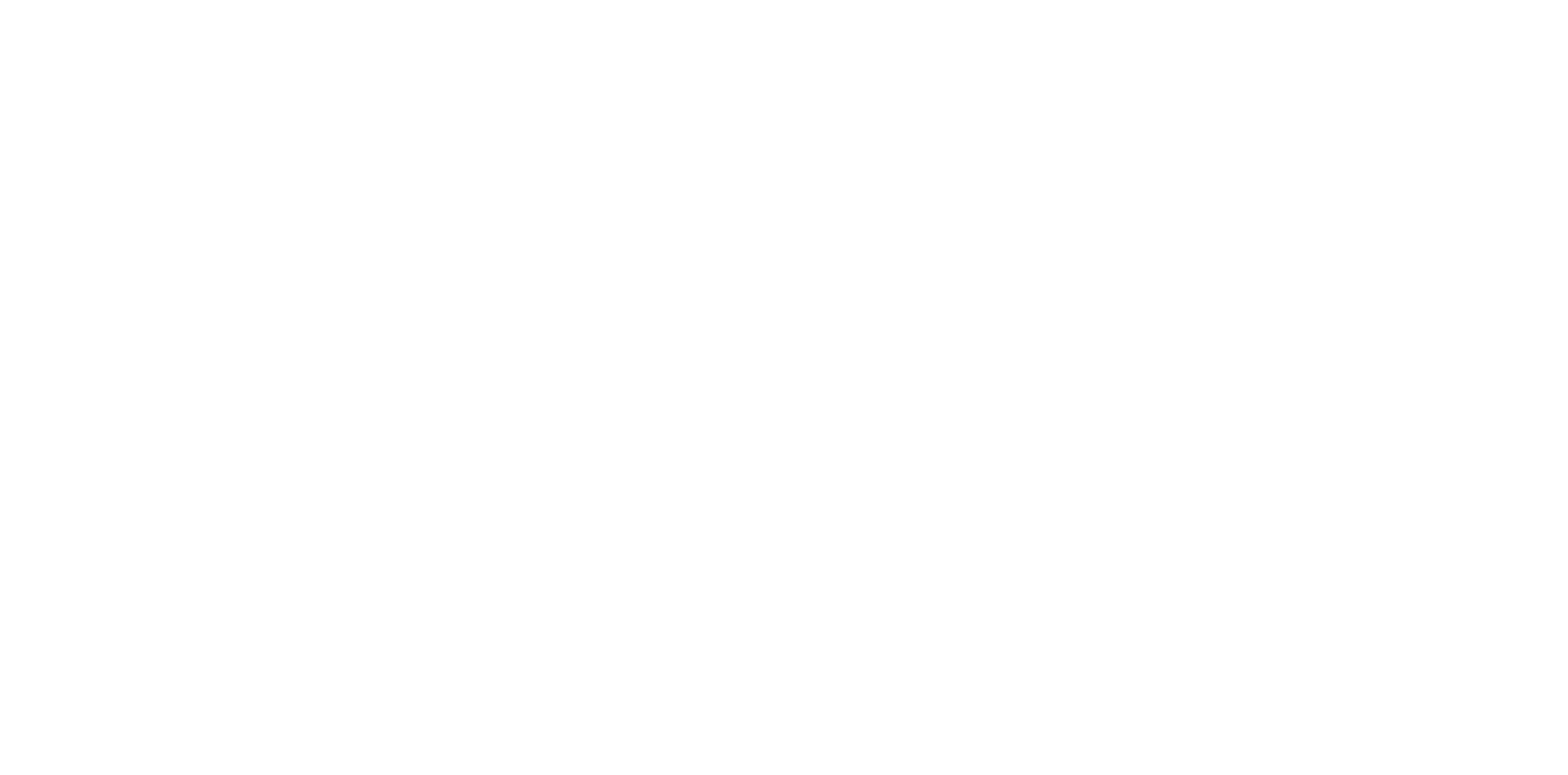 LogoFloss